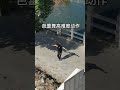 芭蕾舞高难度动作，没有后续。哈哈哈～ 搞笑 搞笑视频 搞笑段子 搞笑日常