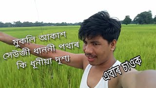 মুকলি আকাশ সেউজী ধাননী  পথাৰ  কি  ধূনীয়া দৃশ্য  এবাৰ চাওক