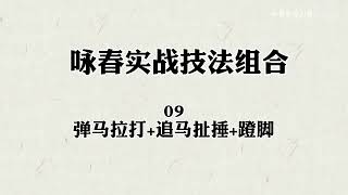 咏春实战技法组合9 弹马拉打+追马扯捶+蹬脚