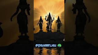 சரவணபவ🦚#trending #muruganthunai #muruganvlogs #murugan #murugansongs #spritual #shorts #thanvi