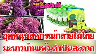 ตลาดนัดเดลินิวส์ สหกรณ์ผู้ประกอบการกล้วยไม้ไทย/ผู้ปลูกมะนาวบ้านแพ้ว-ดำเนินฯ|เดลิ[HOT]นิวส์ 050663