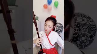 Erhu 刀劍如夢