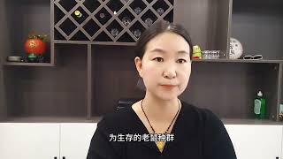 为啥现在老鼠越来越少，它们都跑到哪儿去了？看完以后你就知道了