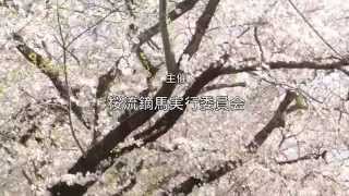 桜流鏑馬2015 0425 26