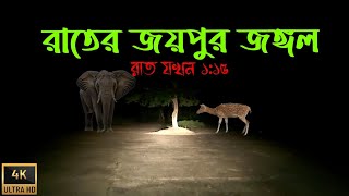 joypur forest bankura at night: a thrilling adventure | banalata resort | joypur jungle