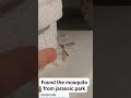 giant mosquito 🦟 jurassicpark