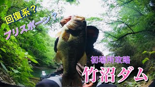 【群馬】初めて竹沼行ったらデカバス釣れた【竹沼ダム】