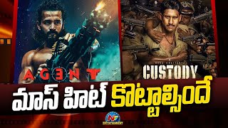 మాస్ హిట్ కొట్టాల్సిందే | Akhil Akkineni | Naga Chaitanya | NTV ENT