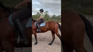 MY BOYS TDY😍🥹❤️ #horse #equestrain #horseriding #equestrainlife