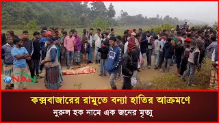 কক্সবাজারের রামুতে বন্যা হাতির আক্রমণে নুরুল হক নামে এক জনের  মৃত্যু হয় | NAN TV