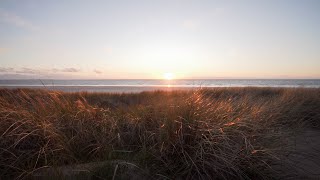 Traumhafte Nordsee: Sonnenuntergang mit Meeresrauschen und Möwen