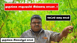 இயற்கை முறையில் கரும்பு முருங்கை சாகுபடி | அதிக லாபம் தரும் முருங்கை சாகுபடி