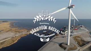 Saaremaa särjepüük, Nasva