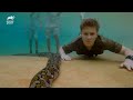 Chandler Swims With an Anaconda!  Crikey! It's the Irwins