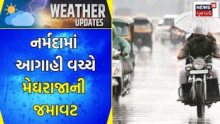 Rain Update : નર્મદામાં આગાહી વચ્ચે મેઘરાજાની જમાવટ | Narmda News | Monsoon 2023 | Gujarati Samachar