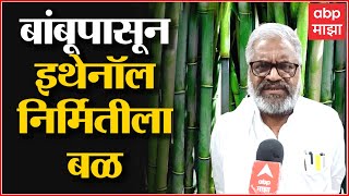 Pasha Patel : बांबूपासून इथेनॉल निर्मितीला बळ देणार, कृषी अर्थव्यवस्थेला नवी ओळख मिळणार : ABP Majha