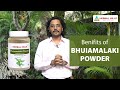 Effective Liver Health Supplement - Bhumi Amla Powder Phyllanthus Niruri - Herbal Hills Prime