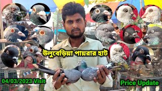 Uluberia Pet Market | Recent Exotic Pigeon's Price Update at Uluberia 04/03/2023 Visit |@OneMoon1