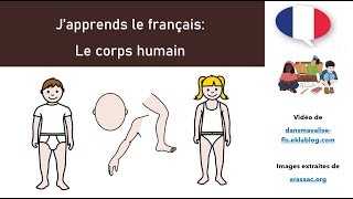 J'apprends le français (FLE / FLS) :  lexique du corps humain