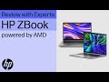 HP ZBook powered by AMD - Review with HP Live Experts [2024]