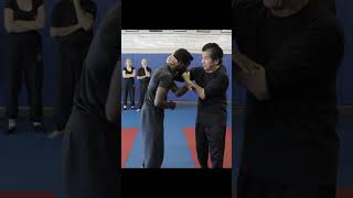 Wing Chun Wooden Dummy Application on Trapping #wingchun #shorts