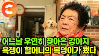 생선가게에 제발로 찾아온 강아지를 품은 욕쟁이 할머니에게 일어난 일🐶 | 통영 서호시장 터줏대감 사장님 | #한국기행