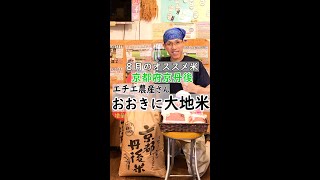 エチエ農産さんの有機米 おおきに大地米は「美味しい」以上の価値があるコシヒカリです。