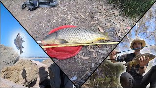 Local Rock Fishing & Carp Catching! | Hook Len & Sinker: Episode #6