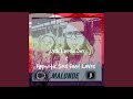 Malunde (feat. LaVos) (Hypnotic Soul Remix)