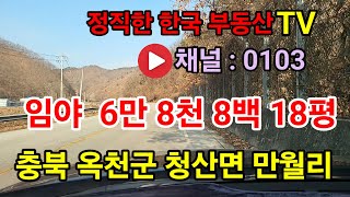 옥천군 청산면 임야 매매 4만 5천 평 ~ 5만 평 분할 매도