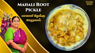 Recipe 526: Mahali Root Pickle/Mahali Kizhangu Pickle