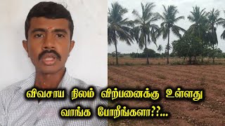 விவசாய நிலம் விற்பனைக்கு உள்ளது! வாங்க போறீங்களா??... | Agri Land for Sale | Pattikattu Payapulla