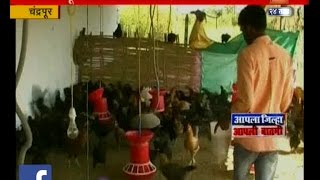 Chandrapur | Farmer | Became Successful After Mix Farming