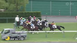 2021/06/05　クラウンドマジック　新馬戦