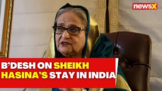 'Stay In India Will Not Hurt Bilateral Relations' | B'desh Interim Govt Advisor On Hasina's Stay |