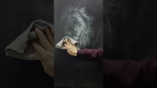 黑板擦｜黑板粉筆畫 ｜ 動物畫｜獅子｜Chalkboard drawing #sketching #art #drawing #chalkart #drawingtutorial