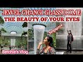 Changi Jewel Glass Dome Adventure's // Betchie's Vlog