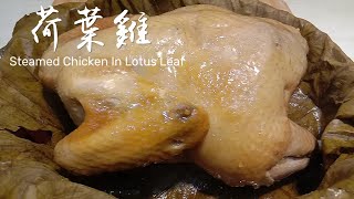 夏季來一隻荷葉雞，清香撲鼻，鮮嫩多汁，簡單易學！Steamed Chicken In Lotus Leaf