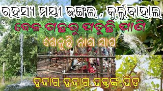 ମେଲଛାମୁଣ୍ଡା,କୁର୍ଲୁବାହାଲ ଜଙ୍ଗଲ ରେ ସାତଟି ବେଳ ଗଛରୁ ପାଣି ପଡୁଛି || Viral video || Kurlubahal