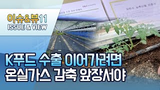 EU 탄소국경세, 배출량 5분의 1 '저탄소 농법'으로 해결 / 머니투데이방송 (뉴스)