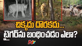 కాకినాడ జిల్లాలో వణికిస్తున్న పులి | Tiger Tension in Kakinada District | Ntv