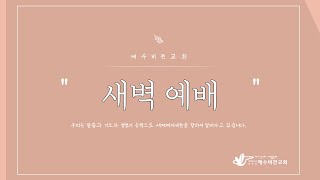 예수비젼교회 새벽예배 2024.12.12(목)