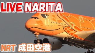 🔴LIVE at NARITA International Airport Plane Spotting　2025.01.25 成田空港ライブカメラ 成田空港　NRT/RJAA