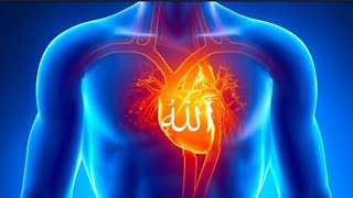 Zikr Allah 5 Minutes | Clean your heart and soul | Beautiful Zikr of Allah#zikrallah