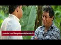 Mosharraf Karim 