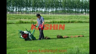 Sod Cutter / Turf Cutter / Sod Harvester / Turf Harvester made in China