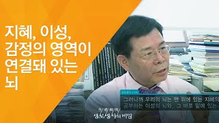 지혜, 이성, 감정의 영역이 연결돼 있는 뇌  - (2011.11.26_393회 방송)_브레인 가든