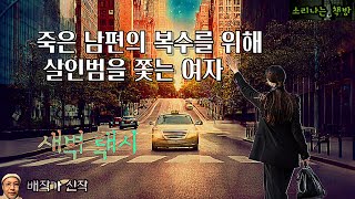 죽은 남편의 복수를 위해 살인범을 쫓는 여자와 그녀를 돕는 택시기사_새벽 택시 32화 (오디오북|자막) Horror Story [공포 미스테리 극장] 소리나는 책방 창작 스토리