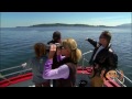 blackfish trailer winner best documentary trailer