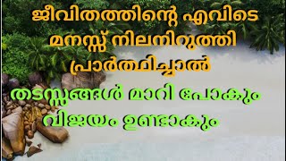 S49ഓരോ വ്യക്തിക്കും മനസ്സിനെ കൊണ്ടെത്തിച്ചു പ്രാർത്ഥിക്കേണ്ട ഒരിടമുണ്ട് അവിടെ നിന്നു പ്രാർത്ഥിക്കണം